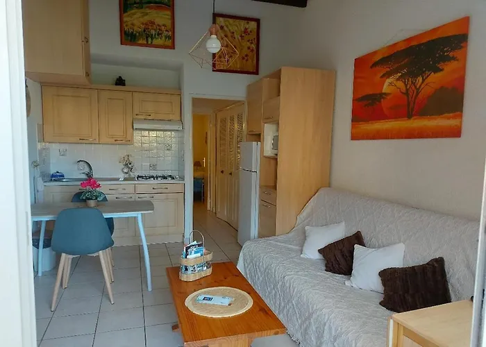 Cap D\'Agde, Appartement Bord De Mer, 50 M Plage De La Roquille, Climatise Et Wifi,